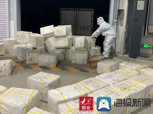鄄城发制品助力菏泽内陆港保税物流中心首批进出口业务圆满完成