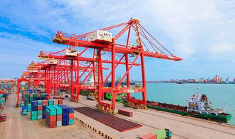 违反海关监管规定将面临哪些风险 企业管理咨询